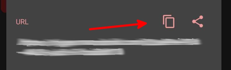 copyurl.jpg copyurl.jpg